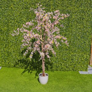 Pink Cherry Blossom Tree