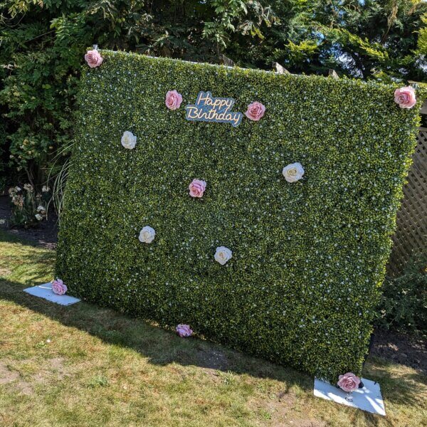 green boxwood backdrop, outside, with LED "Happy Birthday" sign and pink and white rose heads