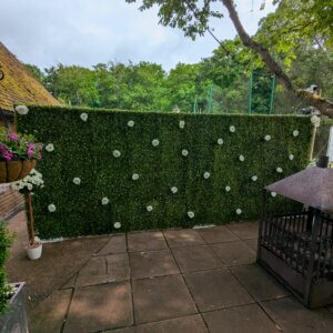 Large Boxwood Backdrop