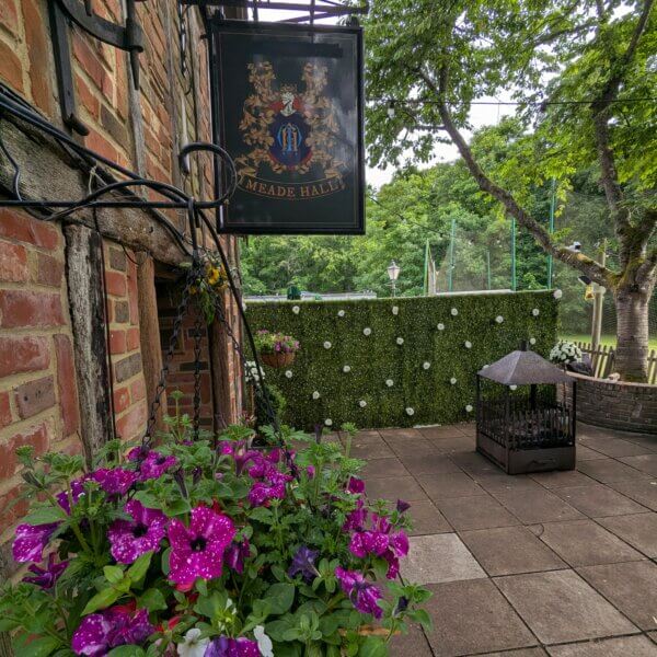 Large boxwood backdrop with many white flower heads decorating it.