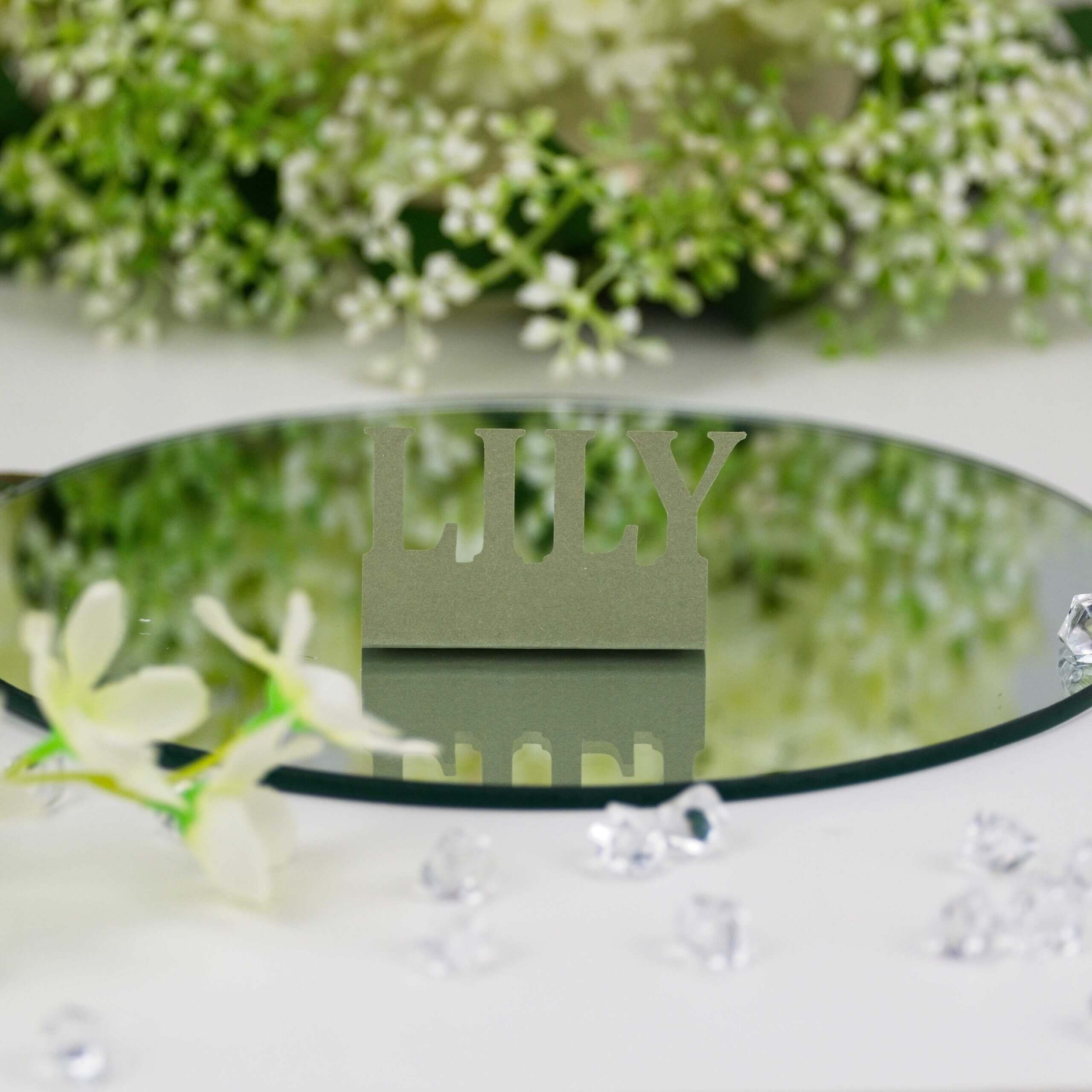 Moss green "LILY" standing name cut-out on mirror with floral backdrop and crystal accents, front view.
