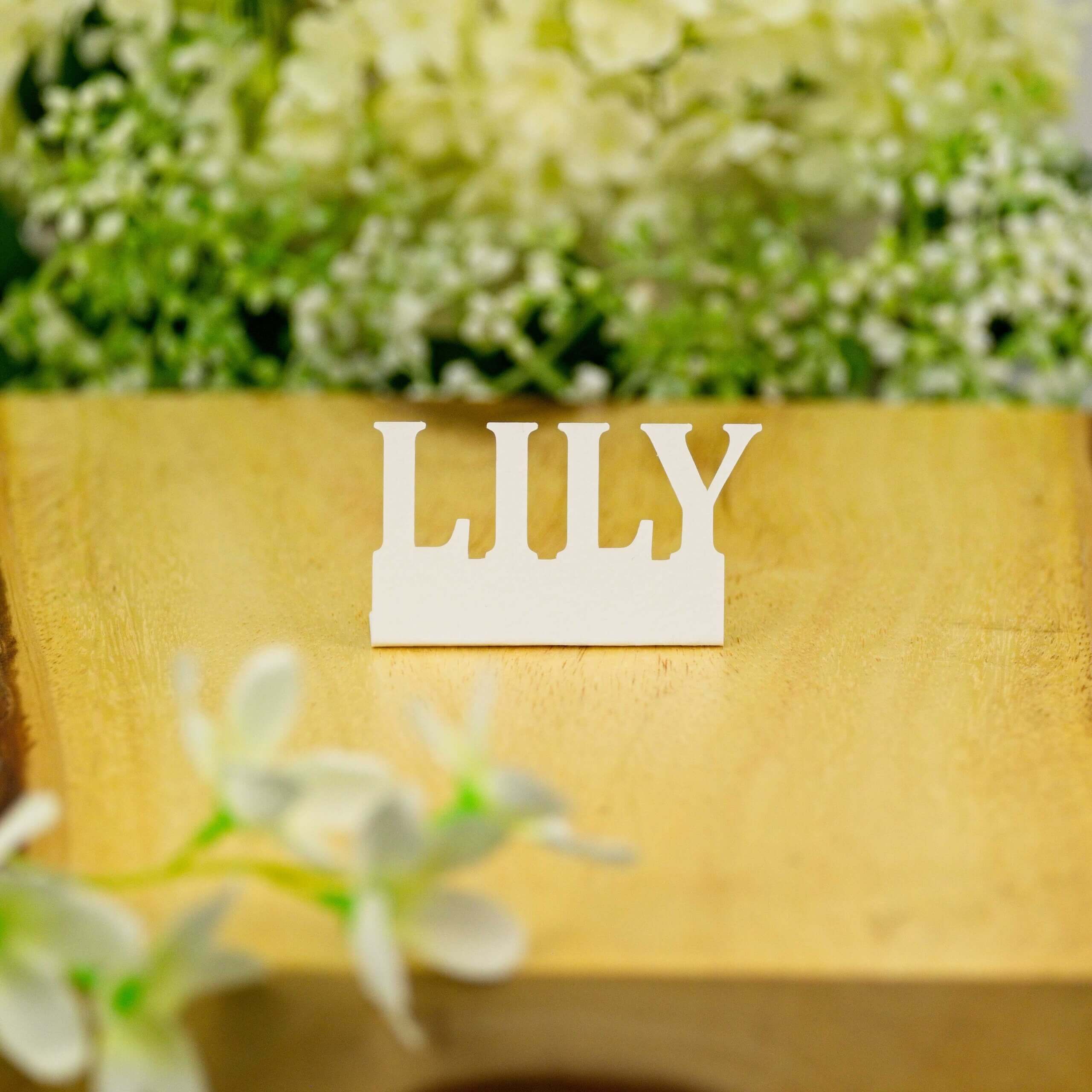 White "LILY" standing name cut-out on wooden board with soft-focus flowers, front view.