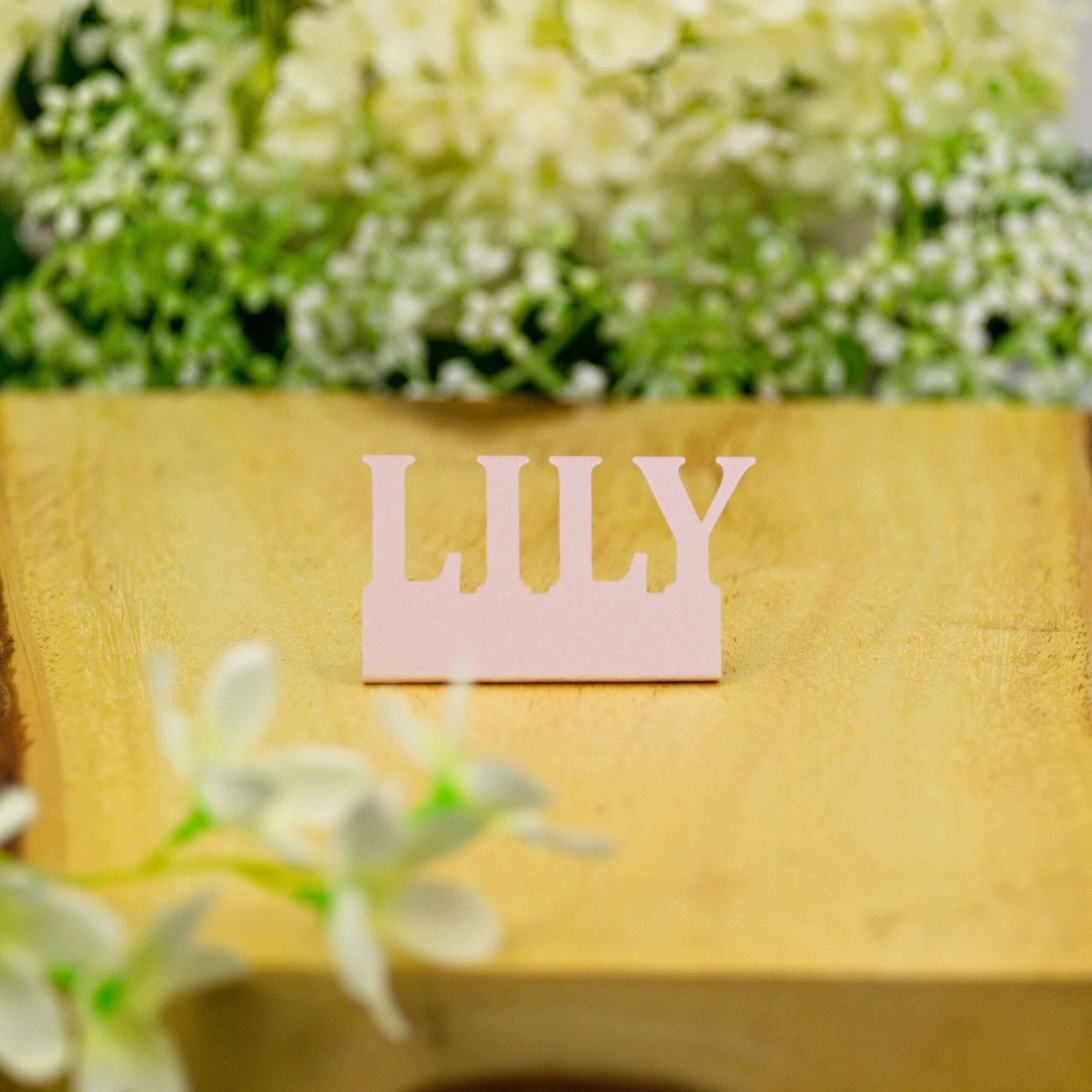 Blush pink "LILY" standing name cut-out on wooden board with blurred florals, front view.