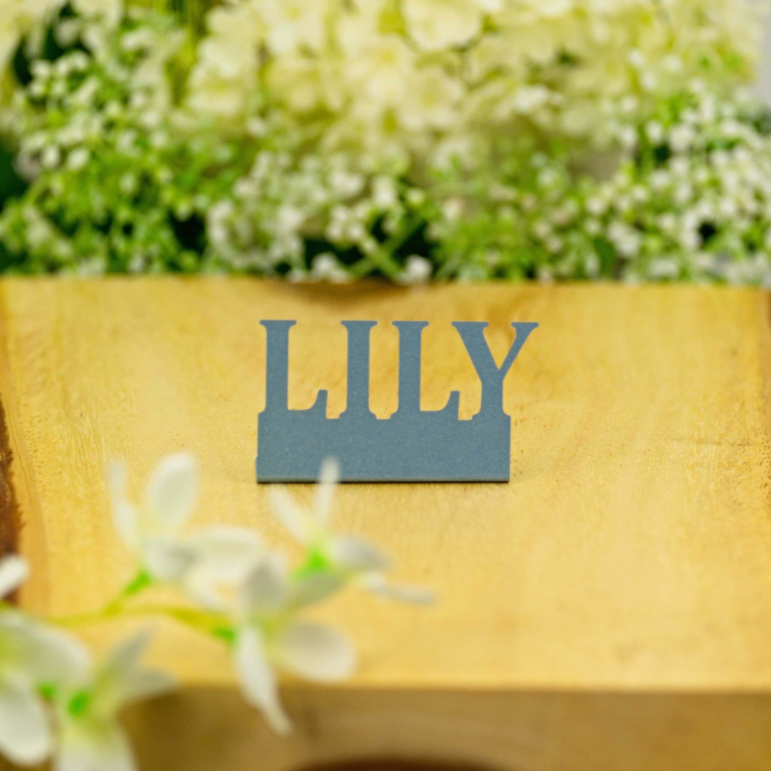 Dusty blue "LILY" standing name cut-out on wooden board showing textured paper, front view.