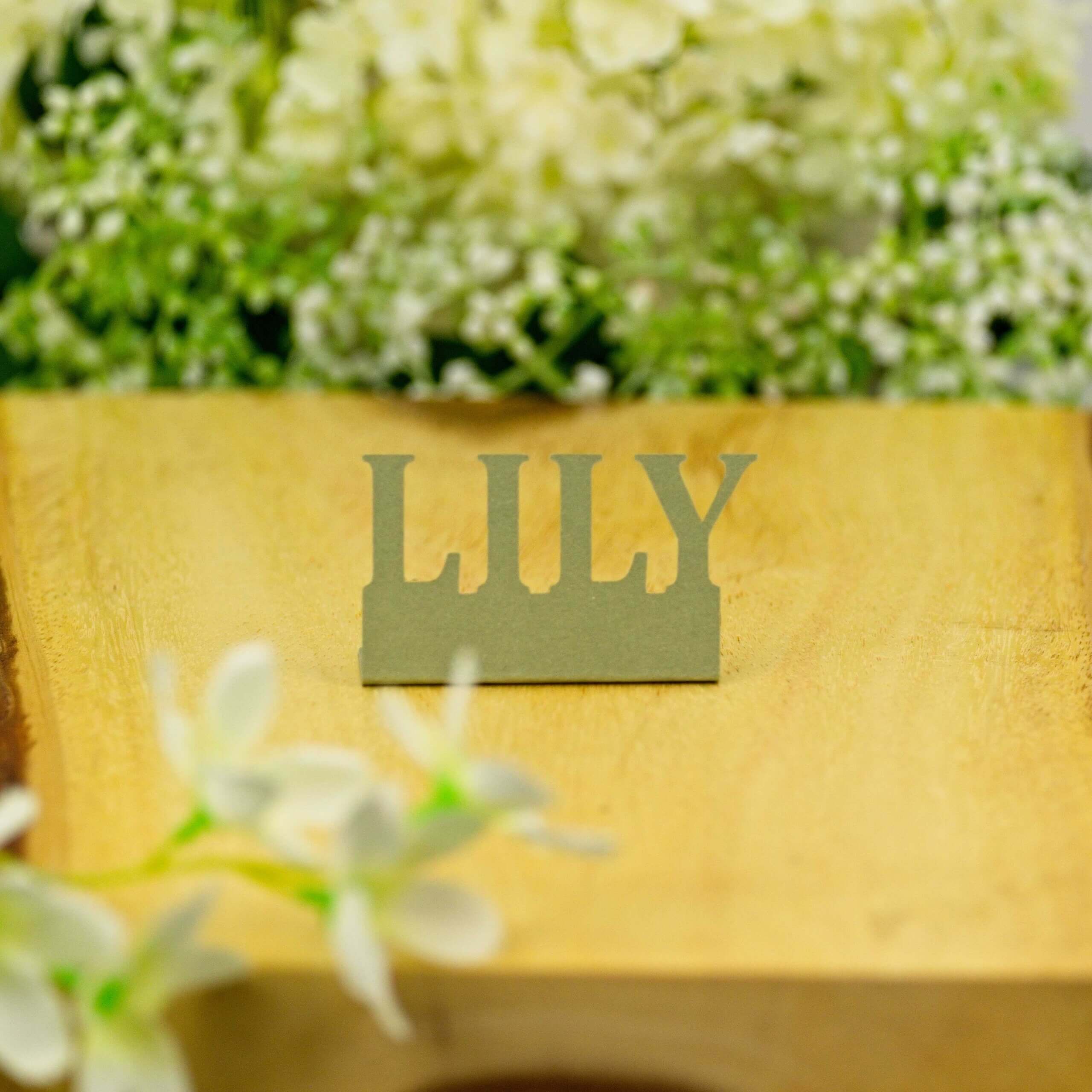 Moss green "LILY" standing name cut-out on wooden board with floral background, front view.
