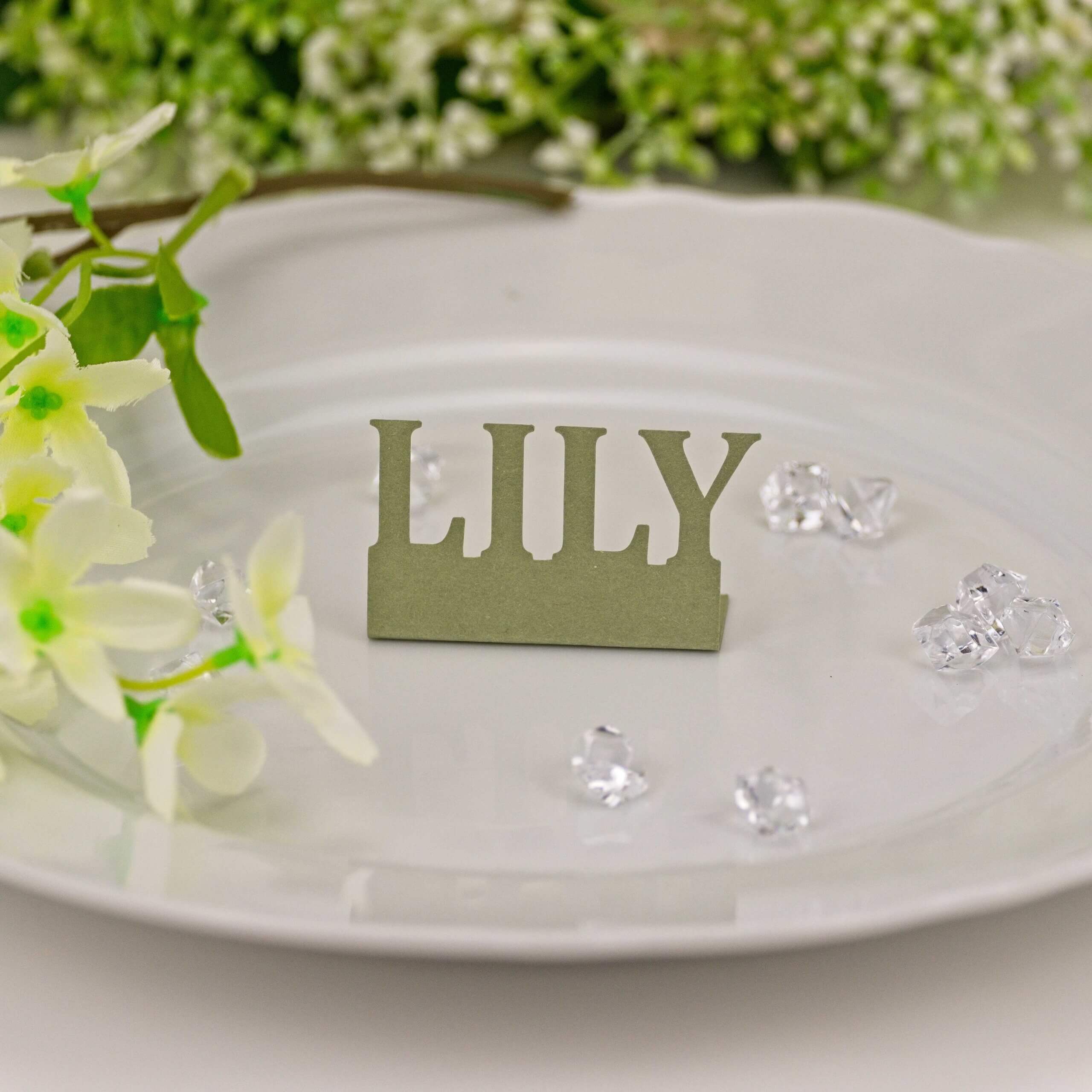 Moss green "LILY" standing name cut-out on white plate with greenery and gems, close-up.