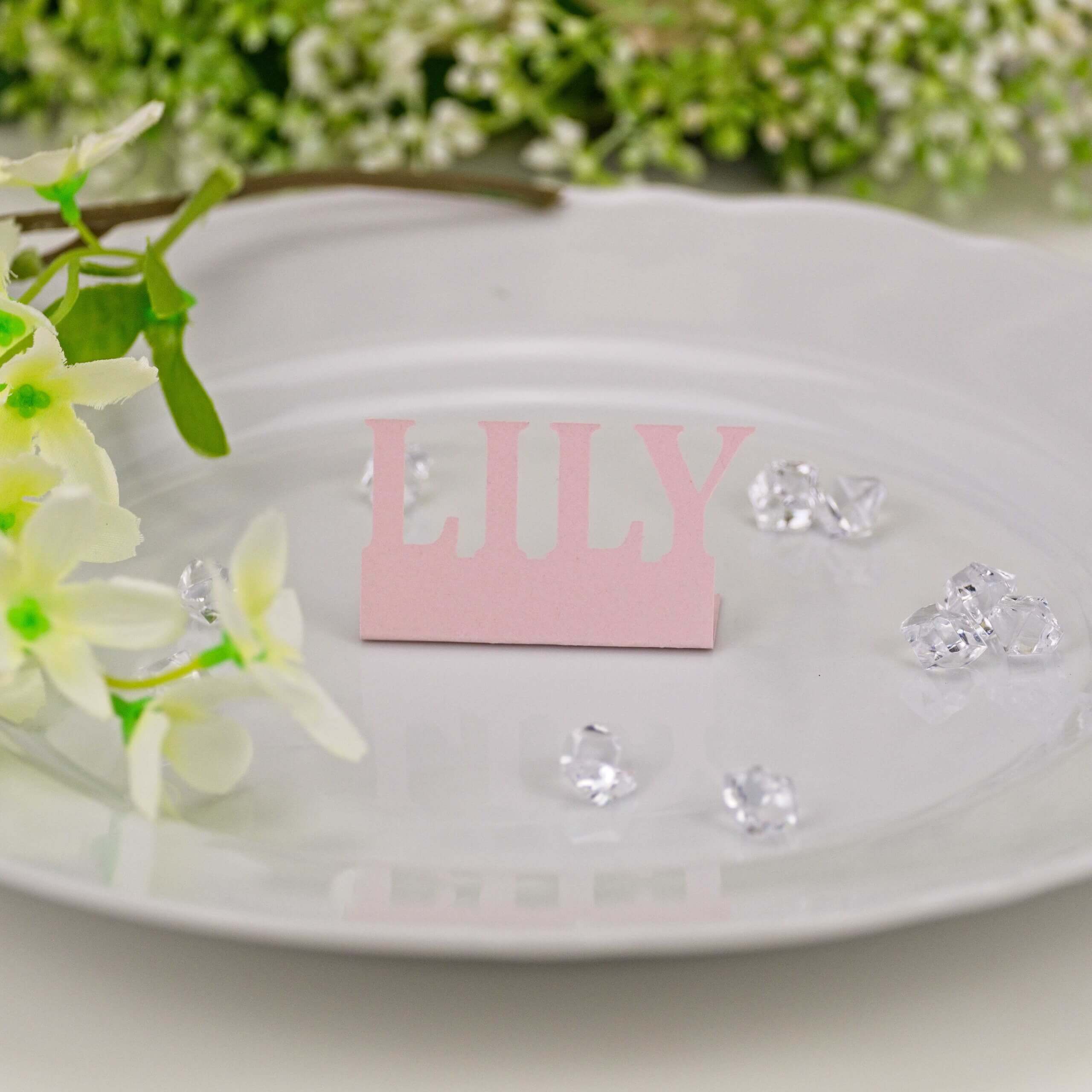 Blush pink "LILY" standing name cut-out on white plate with flowers and crystal accents, close-up.