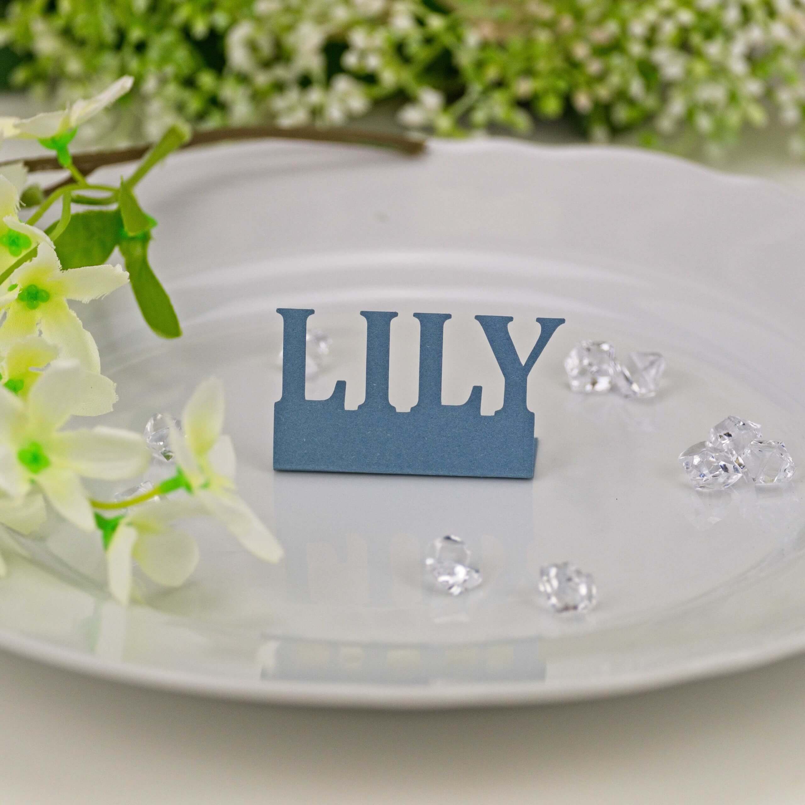 Dusty blue "LILY" standing name cut-out on white plate with floral styling and gems, close-up.